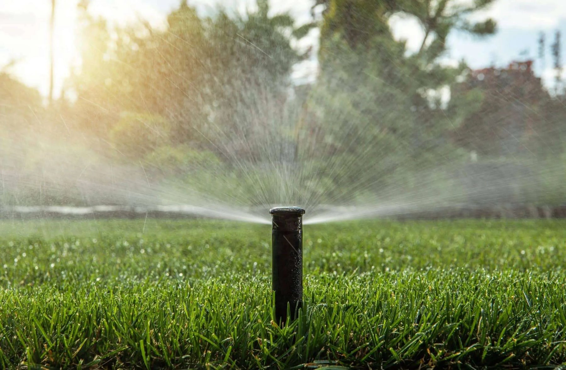 Irrigating Southern Lawns - How much does it take?