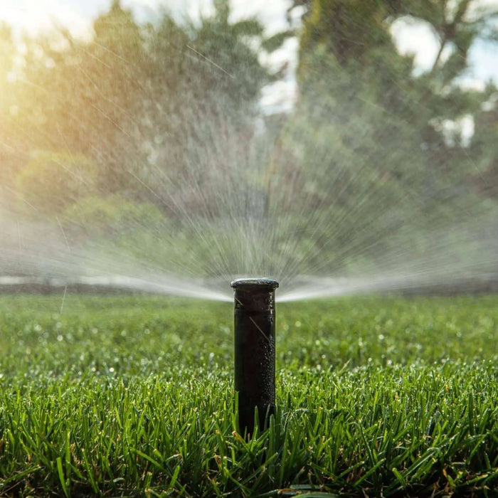 Irrigating Southern Lawns - How much does it take?