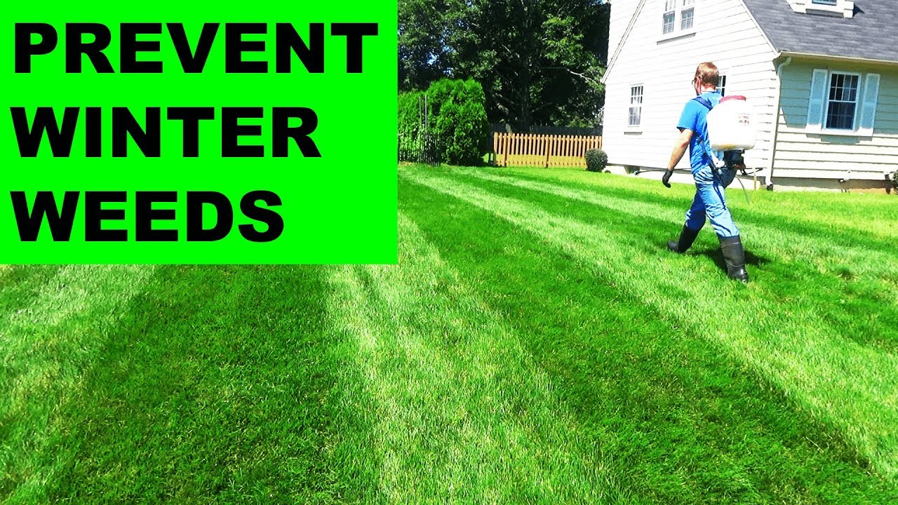 Fall Pre-emergents for Southern Lawns