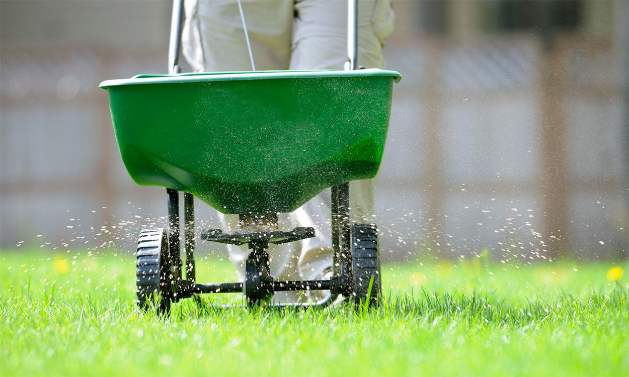 Turf Products
