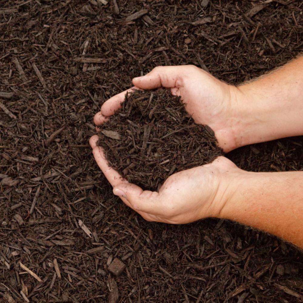 Mulch