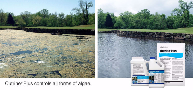 Cutrine® Plus Granular Algaecide 30 lbs.