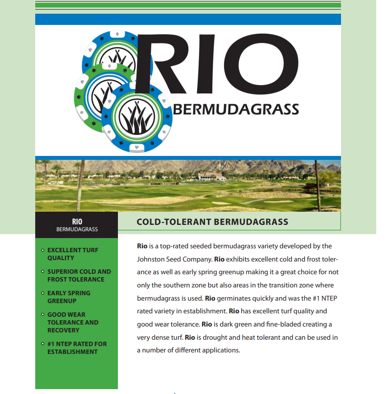 Rio Turf Type Bermudagrass Seed 25 lb.