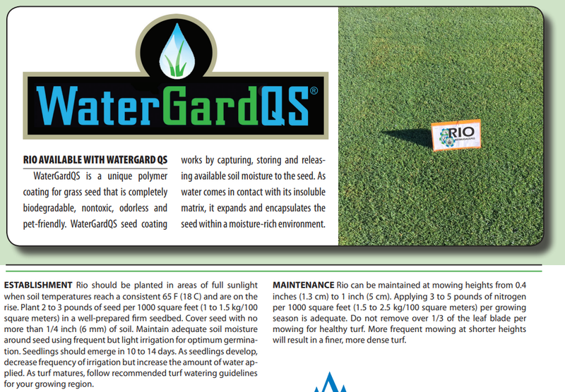 Rio Turf Type Bermudagrass Seed 25 lb.