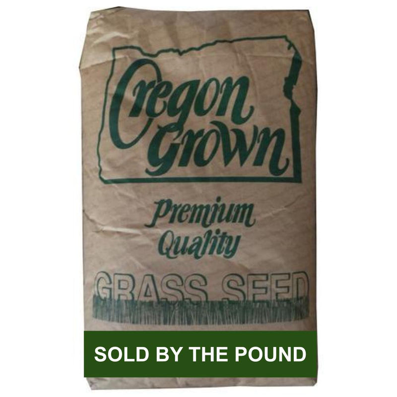Annual Ryegrass (by the Pound)