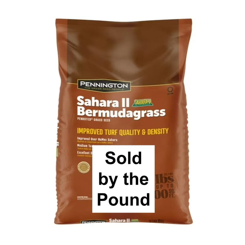 Sahara II Turf Type Bermudagrass Seed (by the pound)