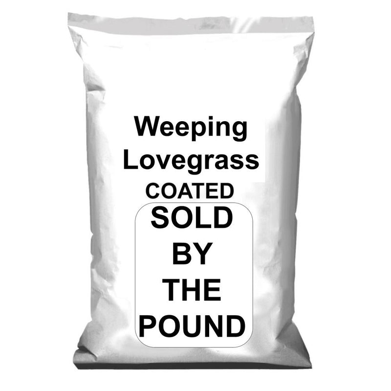 Weeping Lovegrass Seed Coated 1 LB.