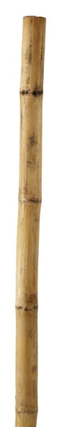 Bamboo Stake Natural, 5/8, 15-17 mm 6 ft.