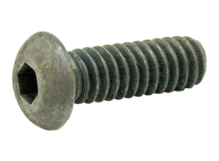 Rotary 5517 Scraper Bar Bolts Snowblower 10 Pack
