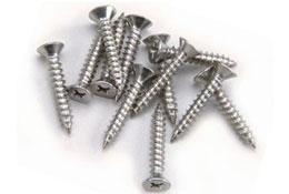 NDS 829 - 829 Stainless Steel Screws, 40 Pk
