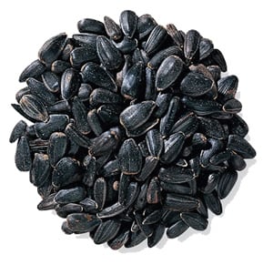 Black Oil Sunflower Seed 25 lb