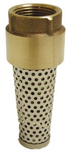 AG FVNL200B Valve Foot Brass 2"