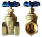 AG GV200-300T Brass Gate Valve 3" fpt