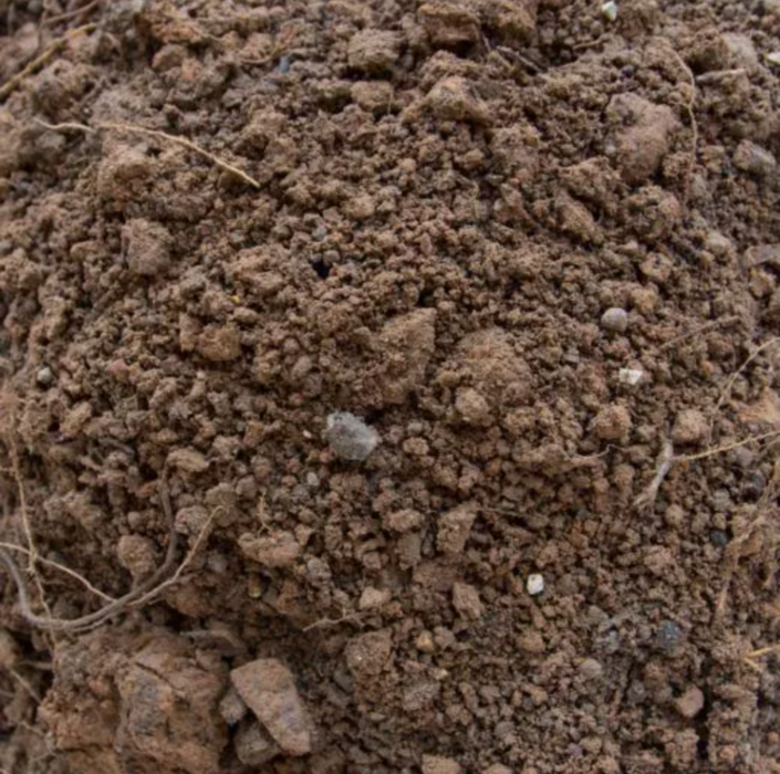 Fill Dirt Bulk (1/2 CY)